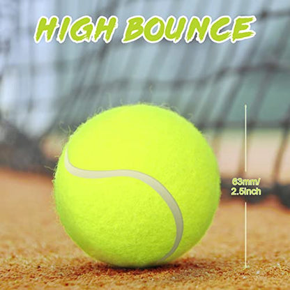 Vinsot 24 Pack Tennis Balls Bulk, Standard Pressure Balls for Training Playing Player Beginner Youth, Exercise Ball for Pet Dog, 2.5 Inch(Yellow) - color: Yellow