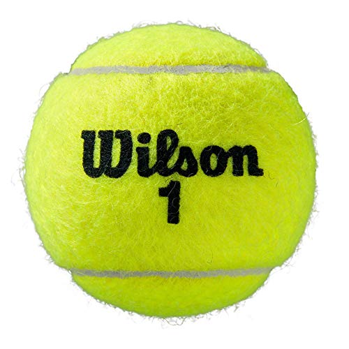 Wilson Roland Garros Clay Tennis Ball - 3 Ball Can - size: 1-Can