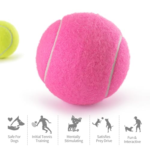 PHOEPET 6-Pack Tennis Balls for Beginner Training Practice- Bulk Dog Balls for Fetch Chew Toys(Mix Colors)