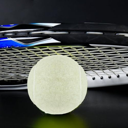 6 PCS Training Tennis Balls, High Elasticity Practice Tennis for Beginner, Exercise Playing Balls Felt Training Toys for Pet Dog (Beige)