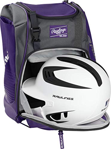 Rawlings | FRANCHISE Backpack Equipment Bag | Baseball/Softball | Rec/Travel | Multiple Styles - color: Purple