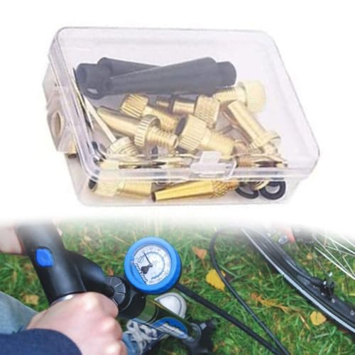 15Pcs Bike Pump Adapter Set Copper SV DV AV Needle Valve Connector Kit For Bicycle Tires Balls With Storage Box