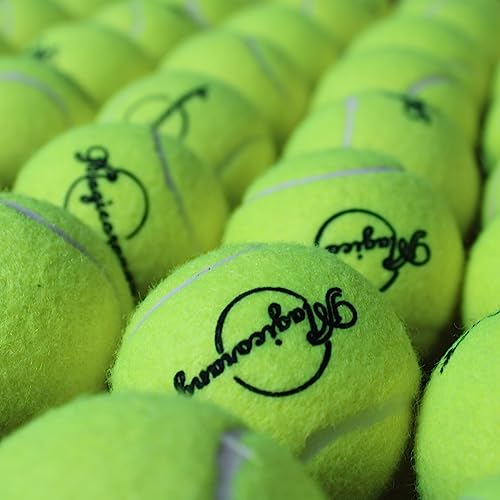 Magicorange Tennis Balls, Advanced Training Tennis Balls Practice Balls, Pet Dog Playing Balls, Come with Mesh Bag for Easy Transport, Good for Beginner Training Ball