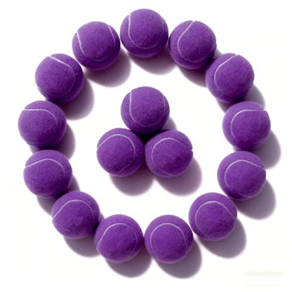 PoyPet 16-Pack Tennis Balls Bulk for Practice,Training and Beginners | Ideal for Dog Fetch,Chew and Play - color: Purple