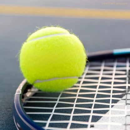 Durable High Elastic Tennis Balls Advanced Training Balls Thickened Balls with Mesh Bag for Transport Beginner Exercise Ball
