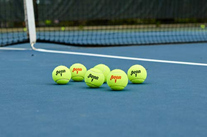 Penn Championship Tennis Balls - Regular Duty