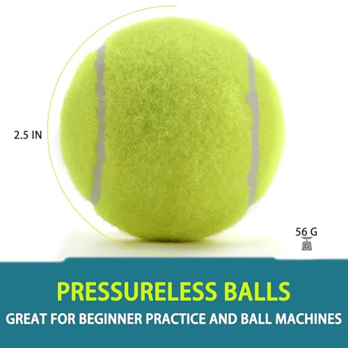 INSUM Bulk Tennis Balls for Beginner – 12 Pack High Elasticity Practice Tennis Balls with Mesh Bag, Suit for Pet Dog Training, Fetching - color: Yellow-N