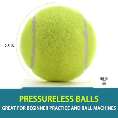 INSUM Bulk Tennis Balls for Beginner – 12 Pack High Elasticity Practice Tennis Balls with Mesh Bag, Suit for Pet Dog Training, Fetching - color: Yellow-N