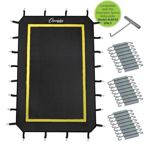 Champion Sports Deluxe Lacrosse Target: Ball Return Bounce Back Net Set for Professional, College and Grade School Training & Drills - style: Replacement Parts for LBT43