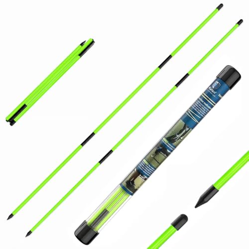 CAITON Golf Alignment Sticks 2 Pack, 48 Inch Collapsible Alignment Rods with Clear Storage Tube, Swing Training Aid for Aiming, Putting, Swing Path & Posture Correction - color: Three-stage green