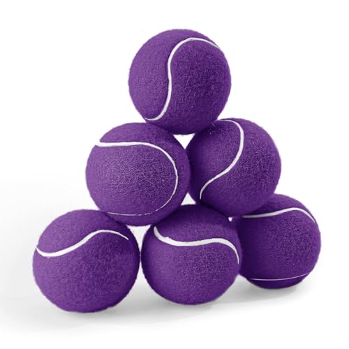 PHOEPET 6-Pack Tennis Balls for Dogs, Bulk Rubber Ball for Fetch Chew Toys Beginner Training Practice(Purple) - color: Purple-6 Pack, size: Medium 2.5"- 6 Pack