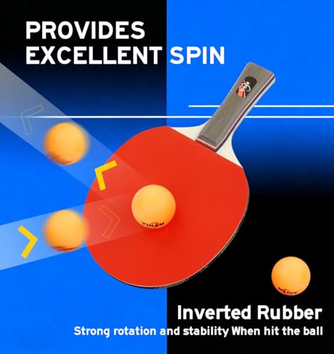 Family Premium Ping Pong Paddles Set of 4 - Advanced Table Tennis Rackets, 6 Training Ping Pong Balls, Competitive or Recreational Play - Indoor and Outdoor Compatible