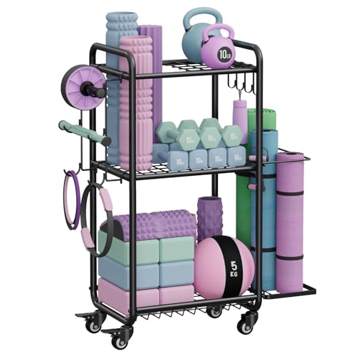 Multi-Functional Home Gym Storage Rack - Yoga Mat Storage Rack, Dumbbell Weight Rack & Workout Equipment Storage with Heavy-Duty Steel Construction for Gym Fitness Organizer - color: Jet Black