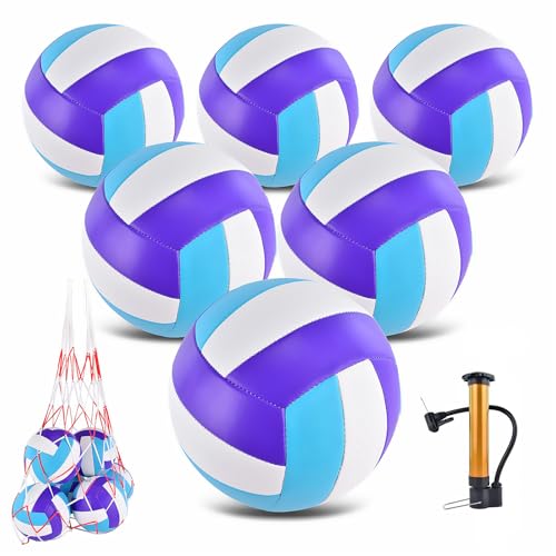6 Pack Volleyballs Official Size 5, Soft Bulk Recreational Volley Balls with Pump and Net Bag for Indoor Outdoor Beach Pool Water Sand Game Training Match for Beginner - color: Purple