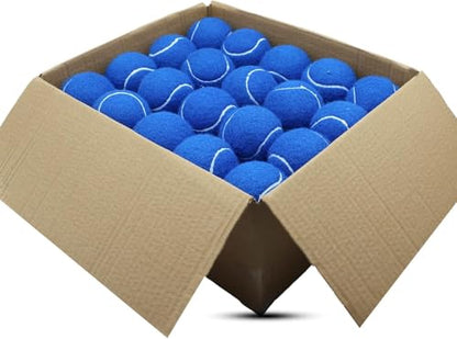 SHYUJAJIE Tennis Balls, 40 Pack Training Tennis Balls,High Elasticity Practice Tennis for Beginner, Exercise Playing Balls for Pet Dog - color: Blue