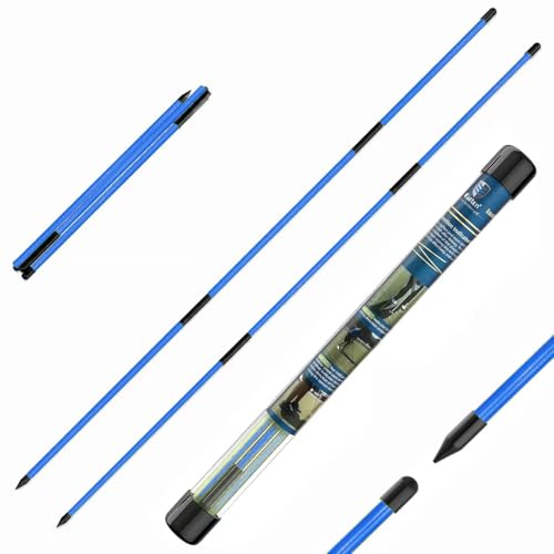 CAITON Golf Alignment Sticks 2 Pack, 48 Inch Collapsible Alignment Rods with Clear Storage Tube, Swing Training Aid for Aiming, Putting, Swing Path & Posture Correction - color: Three-stage blue