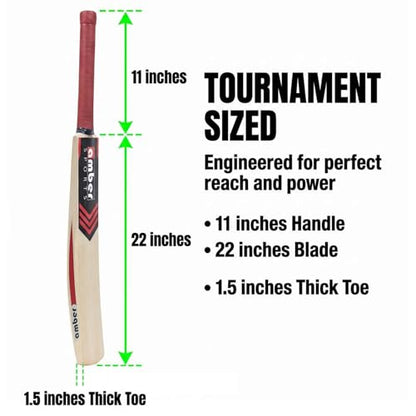 Amber Sports Lightweight Kashmir Willow Cricket Bat for Tennis Ball – Full Size Handcrafted Beginner Bat for Kids & Adults – Durable Practice Bat for Backyard & Street Play – 2.7lb