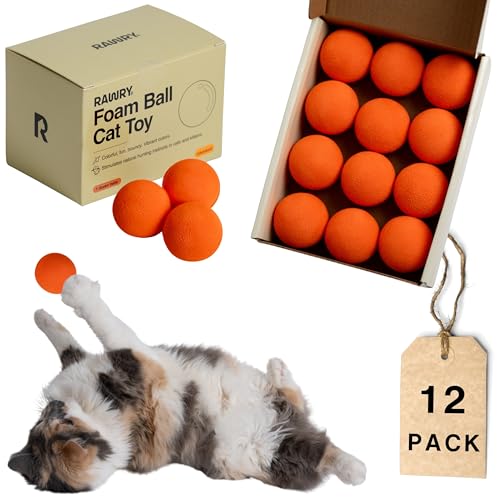 Rawry Foam Ball Cat Toy Set - 12 Lightweight Firm Foam Balls for Indoor Cats & Kittens | Ideal for Batting, Swatting & Chasing | Non-Toxic, Indoor Play | Supervised Use Recommended (12 Pack, Orange) - color: Orange