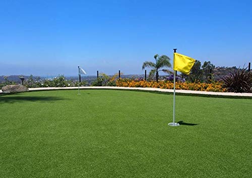 Pro Putting Green Golf Artificial Grass Turf - Indoor Outdoor Golf Training Mat, Synthetic Fake Grass for Baseball Football Gym Sports