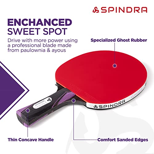 Performance Ping Pong Paddles, Advanced-Expert Table Tennis Paddles For Each Skill Level With Professional Rubbers & Carbon Layered Blades, 2025 Upgrade With Protective Case to Boost Your Game