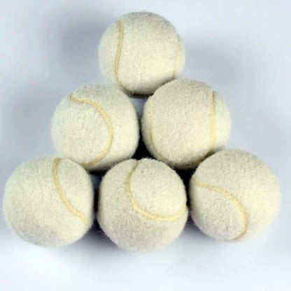 6 PCS Training Tennis Balls, High Elasticity Practice Tennis for Beginner, Exercise Playing Balls Felt Training Toys for Pet Dog (Beige)