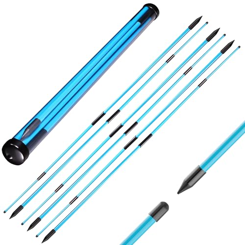Signature Fitness Golf Alignment Sticks, 2 Pack 48" Upgraded Collapsible Design, Multiple Colors Foldable Golf Training Aids for Aiming Putting Swing Posture Correction - color: Blue, size: 6Pack