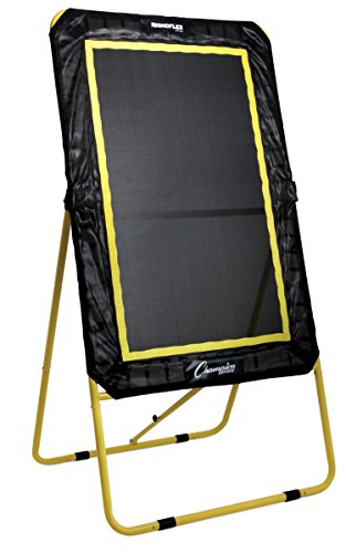 Champion Sports Deluxe Lacrosse Target: Ball Return Bounce Back Net Set for Professional, College and Grade School Training & Drills - style: Deluxe XL Rebounder (4' x 6')