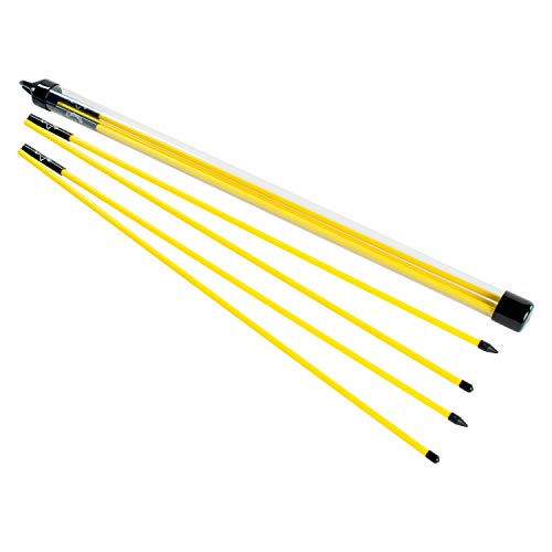 Callaway Alignment Stix, Golf Swing Trainer, Yellow, 48 Inches (Collapsible), Set of 2