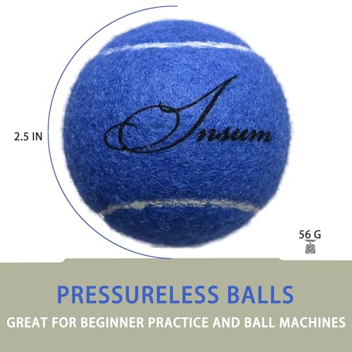 INSUM Bulk Tennis Balls for Beginner – 12 Pack High Elasticity Practice Tennis Balls with Mesh Bag, Suit for Pet Dog Training, Fetching - color: Blue