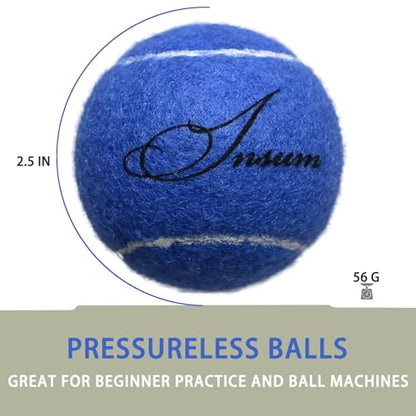 INSUM Bulk Tennis Balls for Beginner – 12 Pack High Elasticity Practice Tennis Balls with Mesh Bag, Suit for Pet Dog Training, Fetching - color: Blue