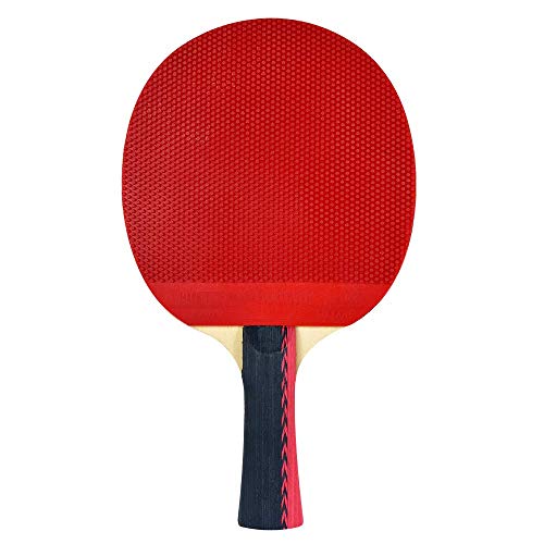 Butterfly B303FL Shakehand Table Tennis Racket - China Series - Racket and Case Set with A Combination Smooth & Pips-Out Rubber - Recommended for Beginning Level Players