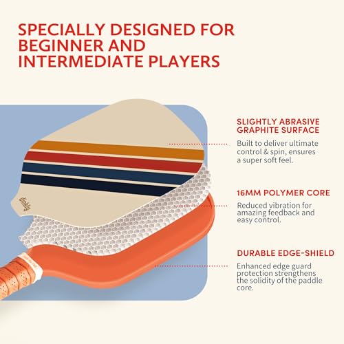 Pickleball Paddles Set of 2/4- USAPA Approved Graphite/Fiberglass Pickleball Racket, 2 Pickleball Rackets, 4 Balls and 1 Portable Carry Bag, Aesthetic Pickle Ball Set for Men Women Beginners - color: 4 Retro Twill | Khaki | Graphite