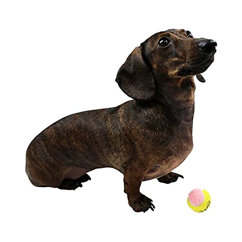 Midlee X-Small Dog Tennis Balls 1.5" Pack of 12- Puppy Mini Fetch Pet Little Tennis Balls -Yellow/Pink - color: Pink