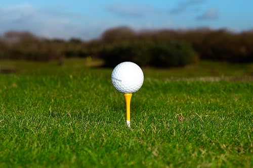 Vegas Golf Premium Golf Tees, White, Bamboo, 3.25 Inch, 10 Count with Poker Chip Ball Marker