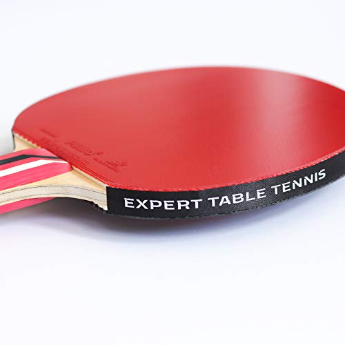 Palio Master 3.0 Table Tennis Bat & Case | ITTF-Approved Intermediate Ping Pong Racket | Allround Speed, Spin and Control | Case, ITTF-Approved, Allround Speed, Spin, Control - style: Single Bat