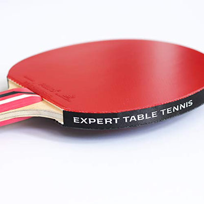 Palio Master 3.0 Table Tennis Bat & Case | ITTF-Approved Intermediate Ping Pong Racket | Allround Speed, Spin and Control | Case, ITTF-Approved, Allround Speed, Spin, Control - style: Single Bat
