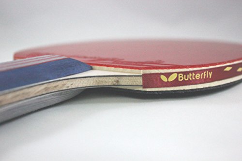 Butterfly 401 Table Tennis Racket Set - 1 Ping Pong Paddle – 1 Ping Pong Paddle Case - ITTF Approved Table Tennis Paddle - Ships in Ping Pong Racket Gift Box, Multi, B401FL