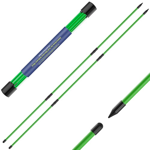 Seticek Golf Alignment Sticks 2 Pack,Upgraded 48" Collapsible Alignment Stick Golf Training Aid for Aiming, Putting, Swing Trainer, Golf Training Sticks with Clear Tube Case - color: Green, style: 2 Pack