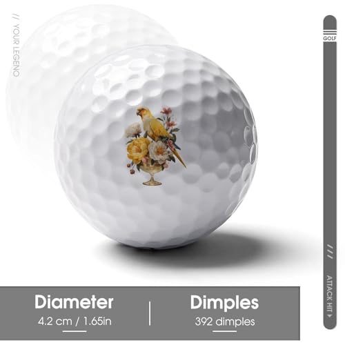 Parrot Cocktail Glass Bird Flowers Golf Ball Soft Feel Golf Practice Balls for Golfs Course Daily Training