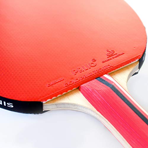 Palio Master 3.0 Table Tennis Bat & Case | ITTF-Approved Intermediate Ping Pong Racket | Allround Speed, Spin and Control | Case, ITTF-Approved, Allround Speed, Spin, Control - style: Single Bat