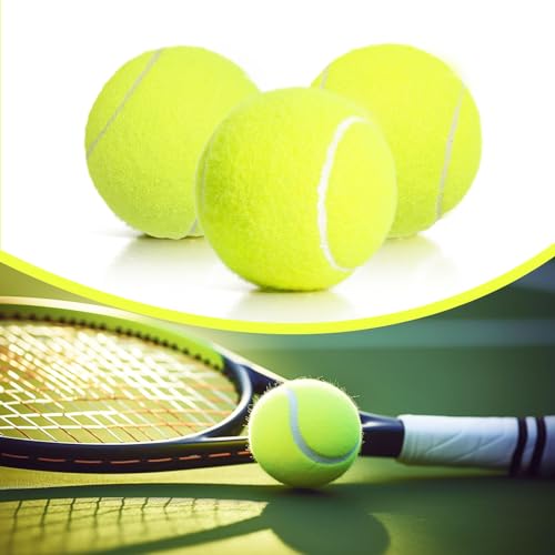 30/40 Pack Training Tennis Balls, Pet Dog Playing Balls, Practice Tennis Balls with Mesh Bag for Transport and Beginner Training - color: Colorful-30Pack