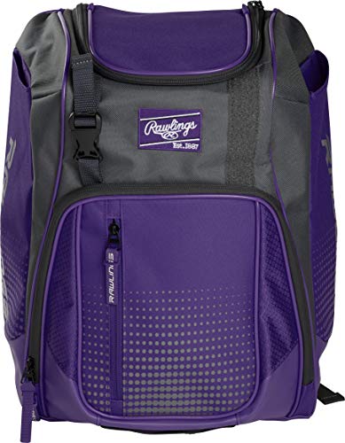Rawlings | FRANCHISE Backpack Equipment Bag | Baseball/Softball | Rec/Travel | Multiple Styles - color: Purple