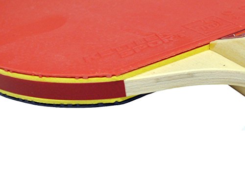 Kettler Advantage Indoor Table Tennis Bundle: 4 Player Set (4 Rackets/Paddles and 8 Balls)