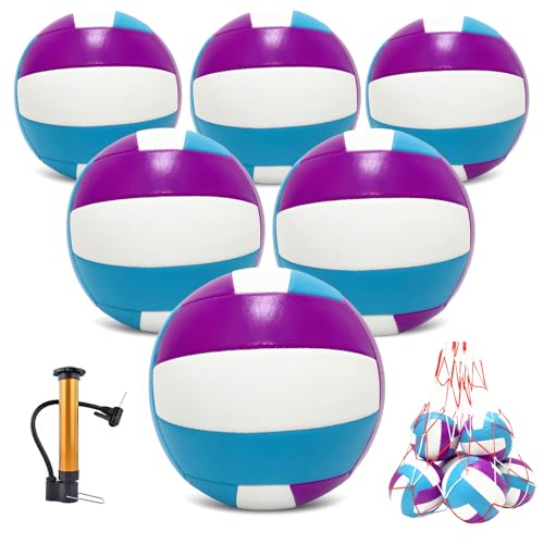 Official Size 5 Volleyball Balls, Waterproof Soft Bulk Recreational Volley Balls with Pump and Net Bag for Beach Pool Sand Training for Beginner - color: Purple/6Pack