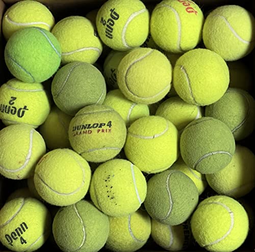 100 Low Cost Tennis Balls for use as Doggie Balls