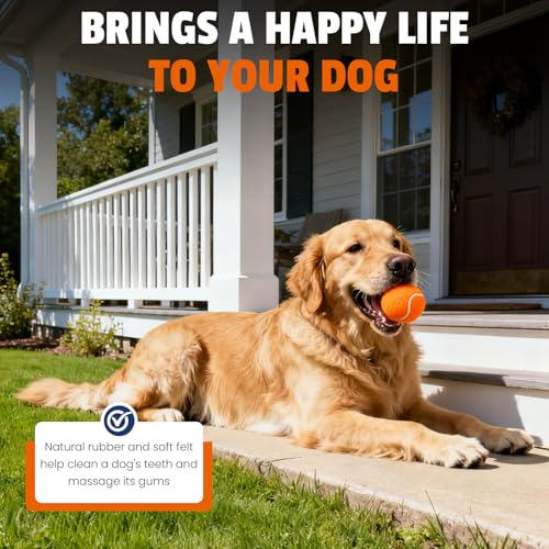 FURWEY Tennis Balls for Dogs 80 Pack,2.5 inches,Durable and Non-Toxic Dog Toys Balls with Mesh Bag,Colorful Fetch Toys Balls for pet Dog (Non Squeaky)