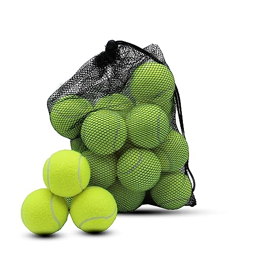 Swingers Tennis Balls,Training Exercise Balls for Pet Dog, High Elasticity Practice Tennis Balls for Beginner, with Mesh Carry Bag Easy to Transport - color: Yellow, size: 20 PACK