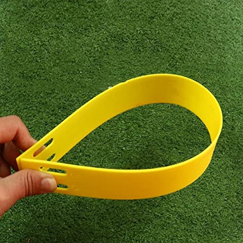 Agility Ladder Adjustable Agility Ladder, Flexibility Speed Training Ladder, Fitness Jumping Ladder Footwork Sport Equipment, with Carry Bag(Size:3M) - size: 3M