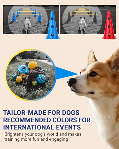 Dog Agility Course Backyard Set, Dog Agility Hurdle Cone Set with Height Adjustable Crossbar for Rehabilitation & Beginners, Dog Agility Equipment for Dog Obstacle Course - 12 Inch