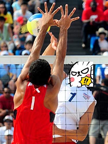 Professional Volleyball Net Outdoor Heavy Duty, All Weather Enhanced with Aircraft Steel Cable, Regulation 32x3FT Replacement Net for Backyard Beach Pool Indoor